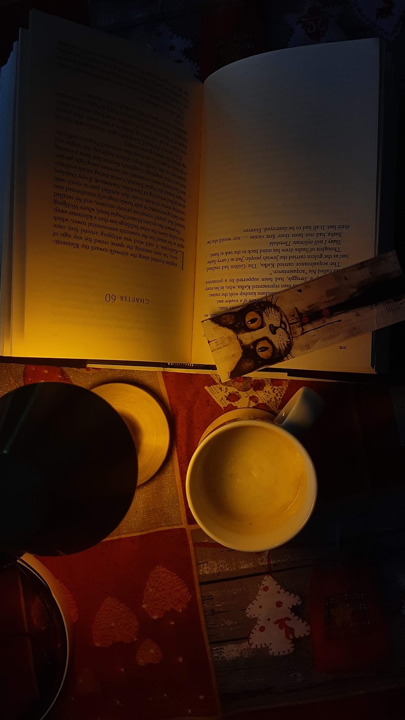 reading a book and a lamp