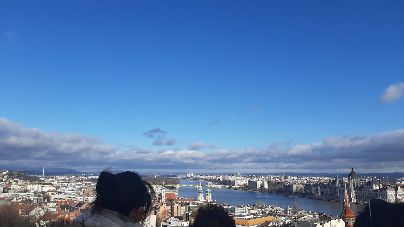 A stunning panoramic view of the Danube river with the Budapest skyline stretching along both banks