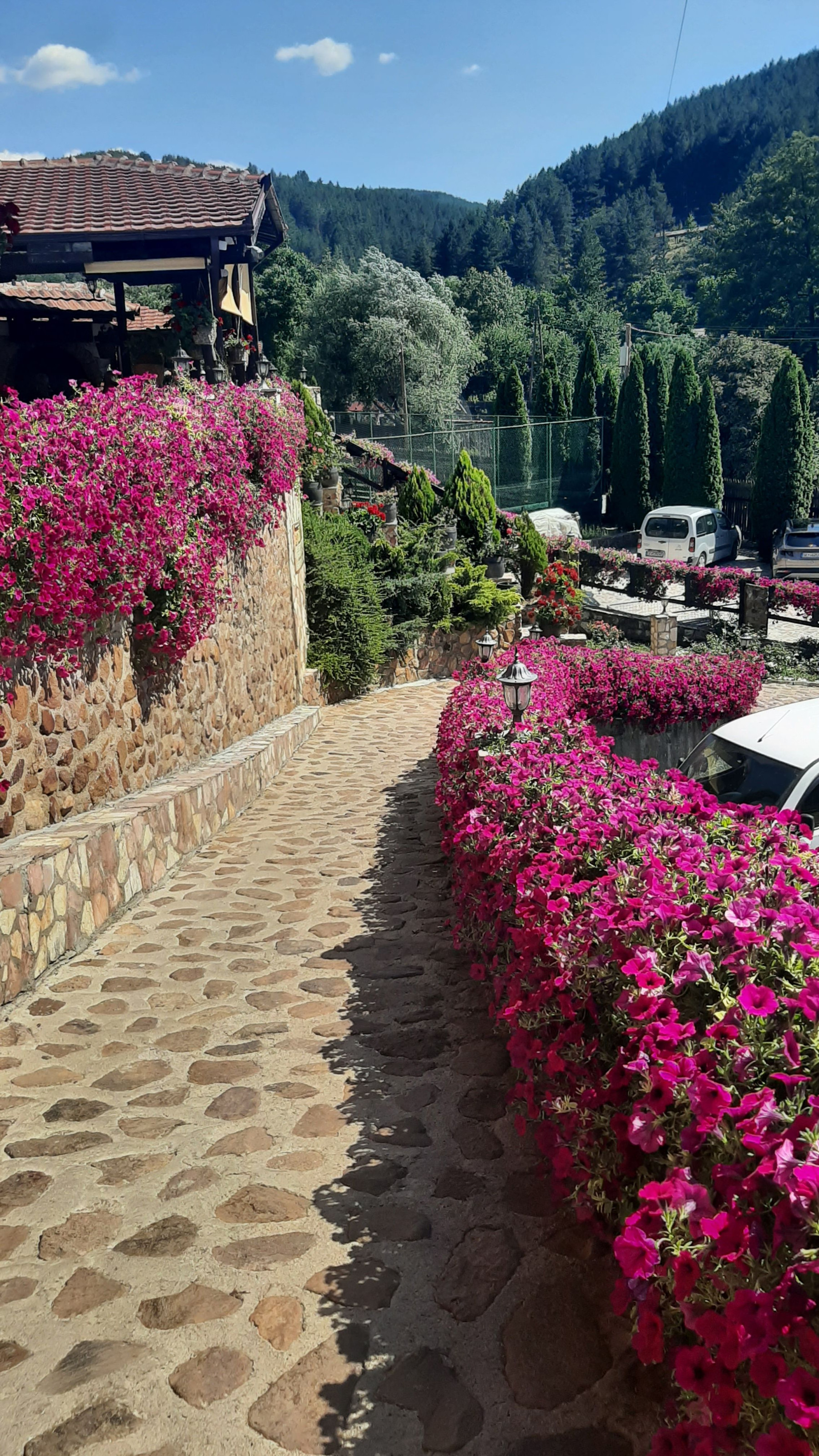 The refreshing pool area at Hotel Manastir surrounded by mountain greenery and pink flowers