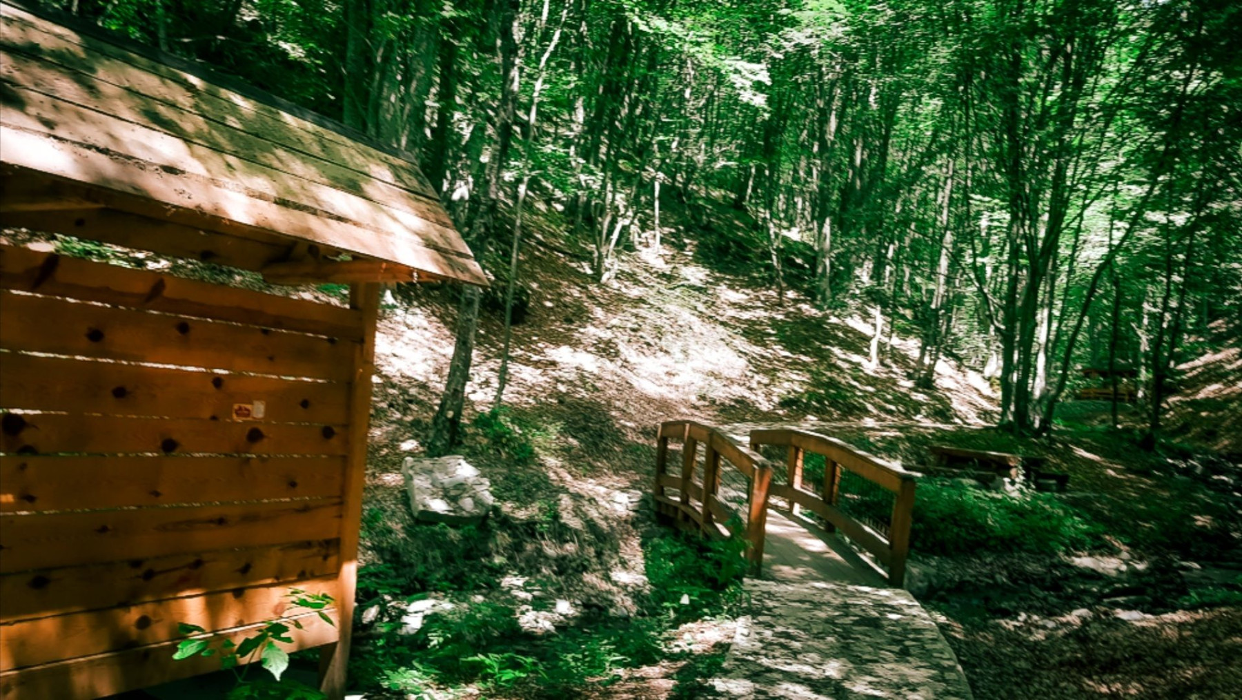 Panoramic view of the lush jungle-like trail leading to the Crnodolski Waterfalls in eastern Macedonia