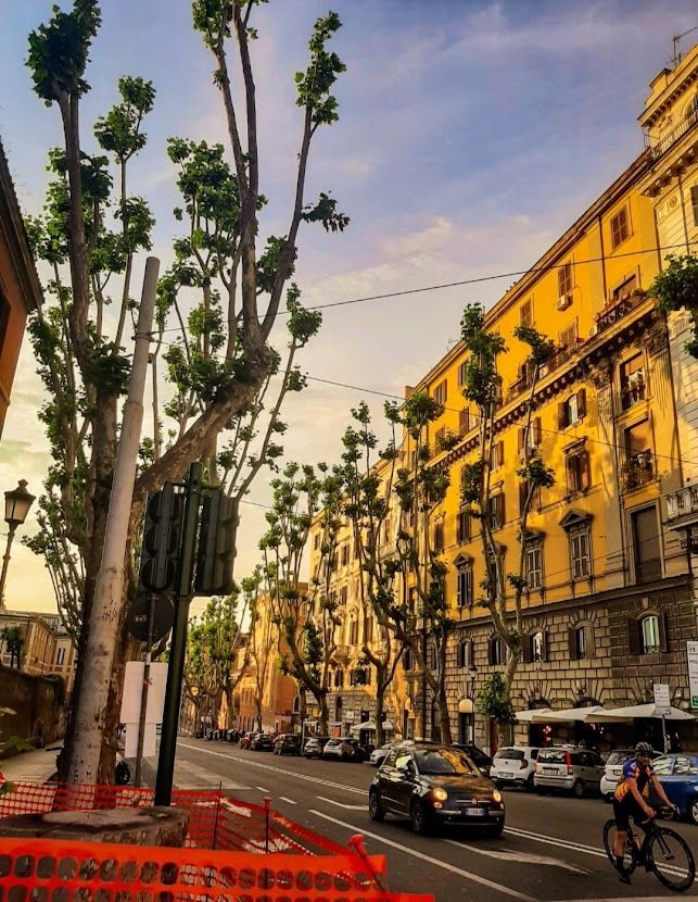 A relaxing stroll through the tree-lined paths of Piazza Vittorio Emanuele II in Rome