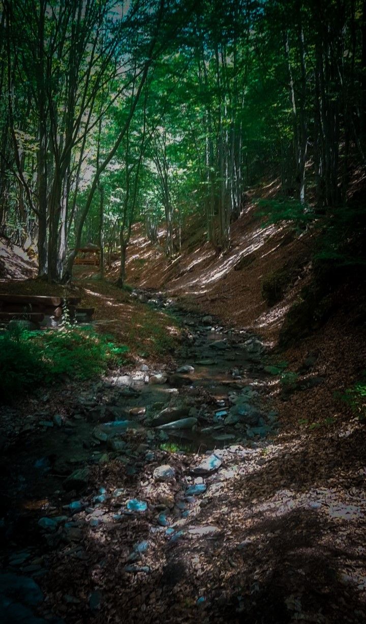 A wooden footpath winding through dense green forest on the way to the Crnodolski Waterfalls