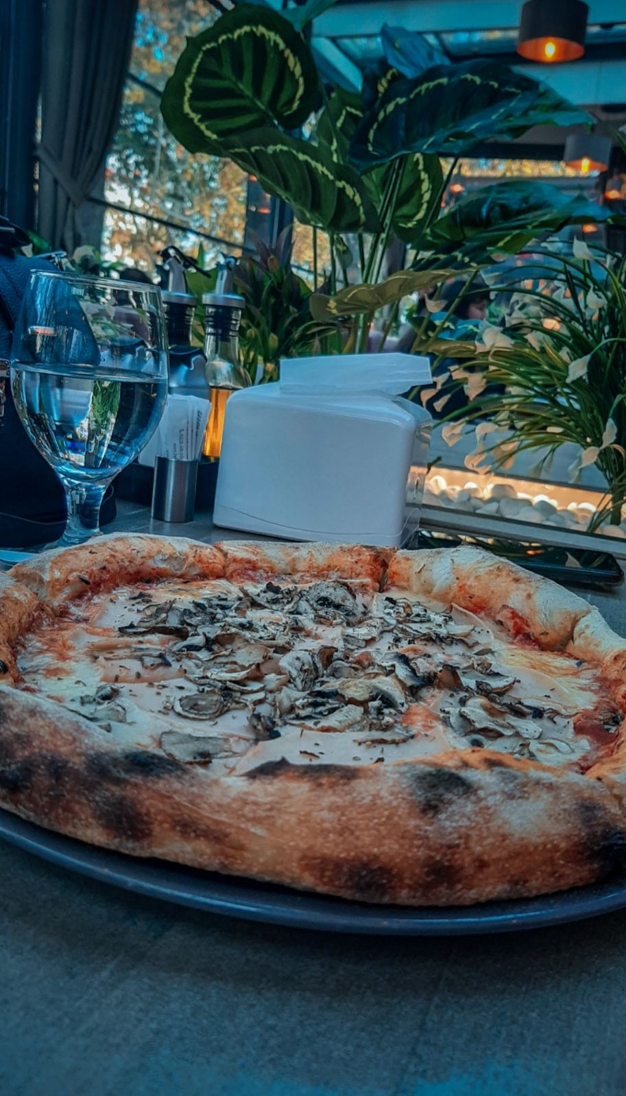 Tasteful food beautifully plated at Bella Vista where every bite is a delight by the riverbank