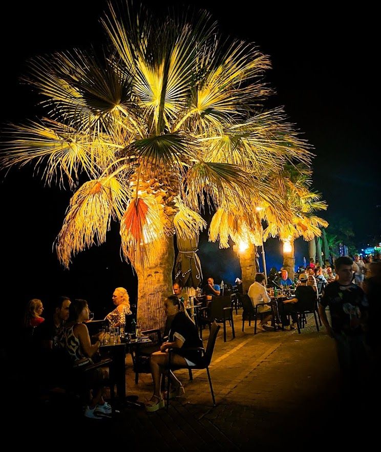 Palm trees silhouetted against the night sky in the magical musical nightlife of Pefkochori