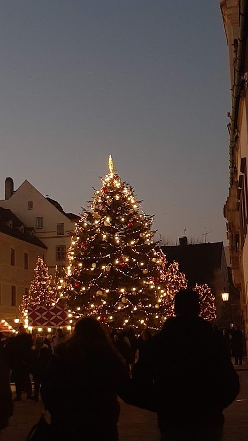 A stunning Christmas tree glowing in the centre of Bratislava spreading holiday joy and magic
