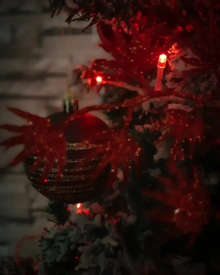 Christmas decorations