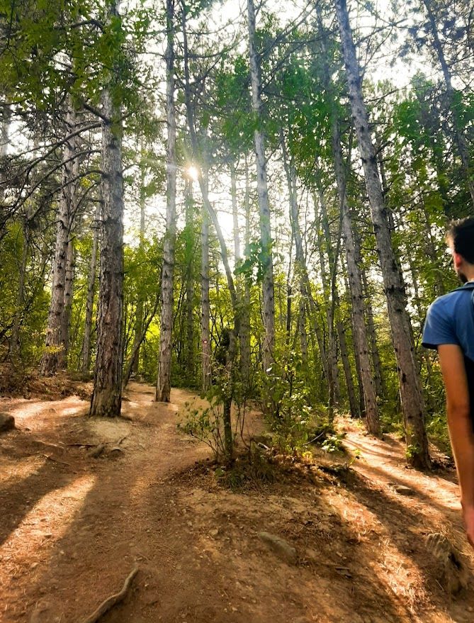 The hiking path winding up Vodno mountain through beautiful greenery and clean fresh air