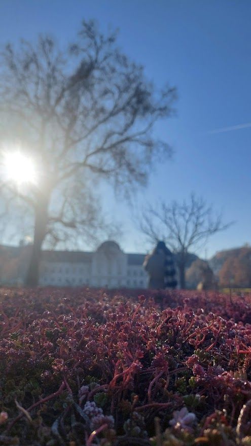 A portrait among the stunning greenery of the Presidential Palace gardens in Bratislava