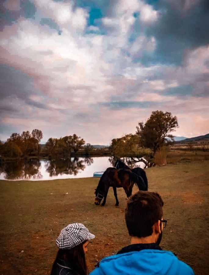 A close-up of a beautiful domesticated horse standing peacefully by the lake near Delcevo