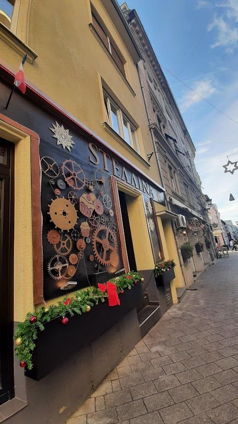 Capturing unforgettable memories in the picturesque town of Novi Sad by the blue Danube