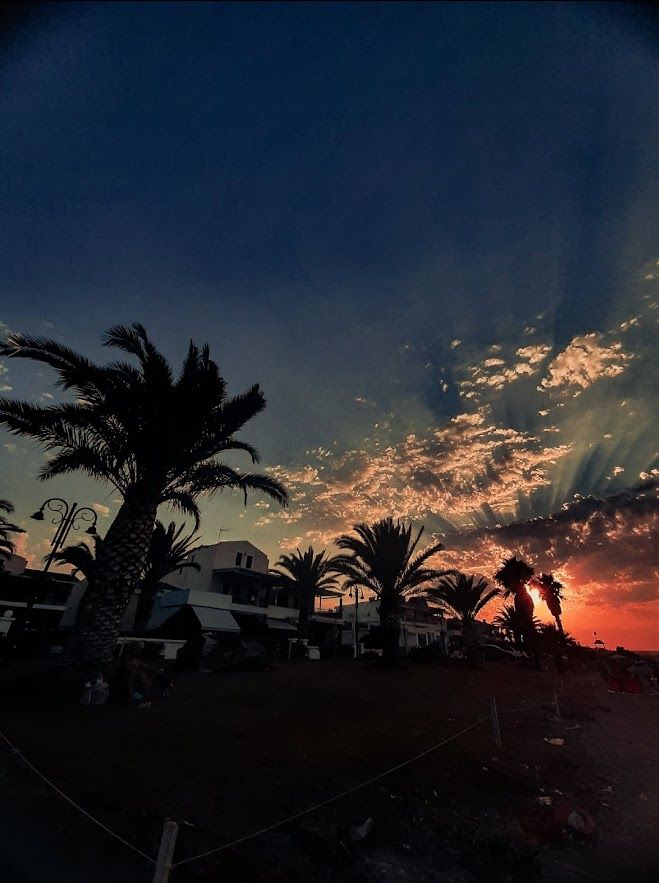 Palm trees framing a spectacular sunset over the Aegean Sea in the Kassandra Peninsula