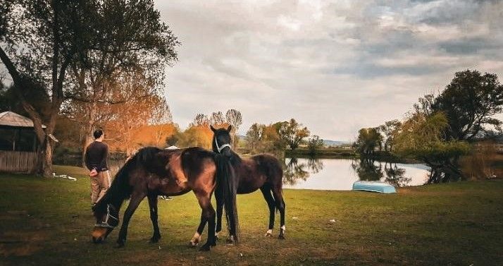 A panoramic view of the peaceful artificial lake near Delcevo with gazebos and green hills in the background