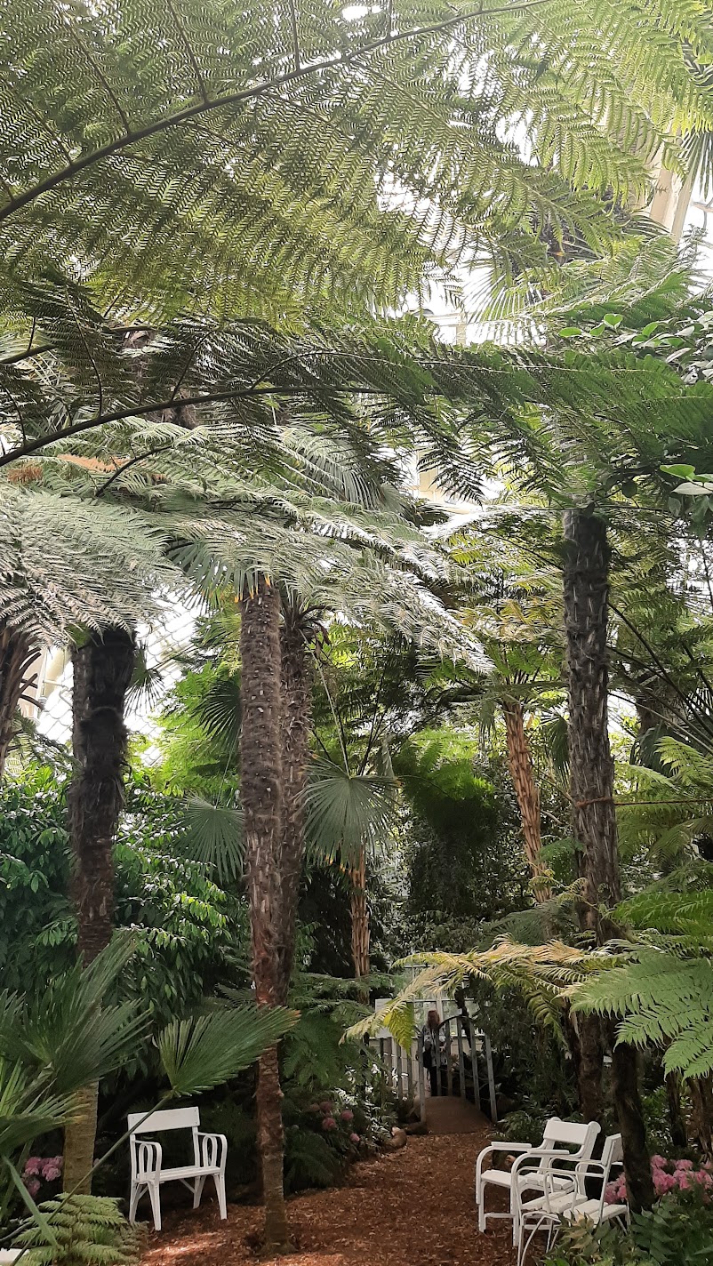 The interior of the Wüstenhaus desert glasshouse with sand and succulents at Schönbrunn in Vienna