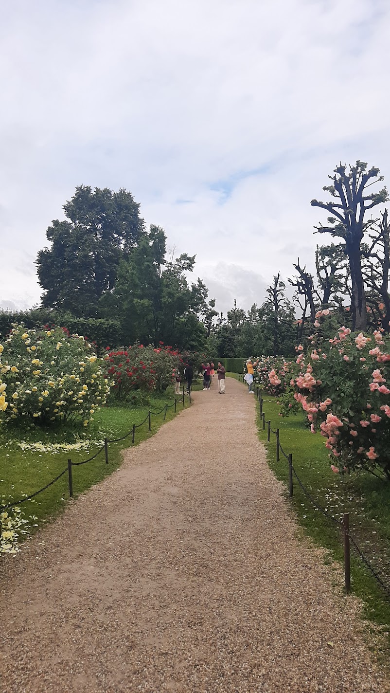 The green hedge maze in the gardens of Schönbrunn Palace in Vienna