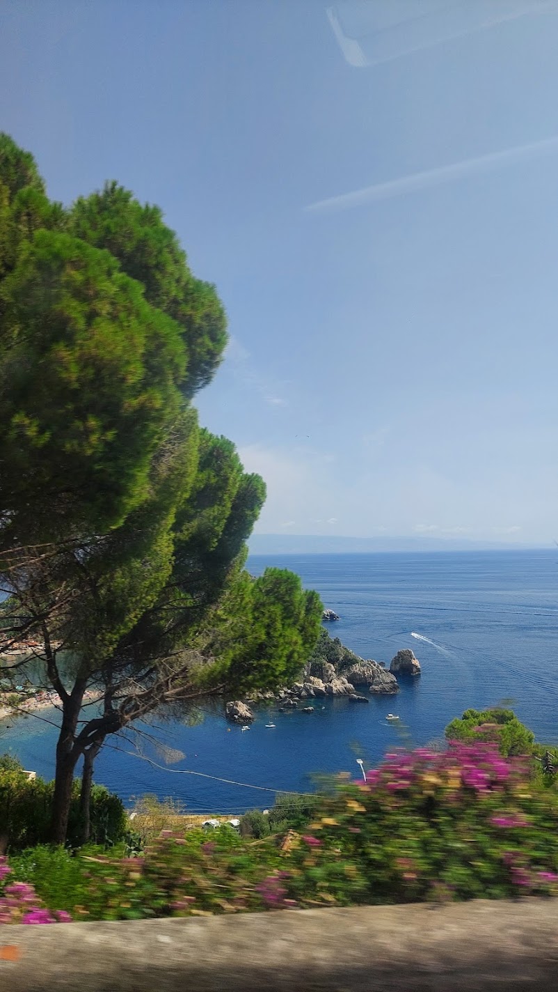 A coastal view through pines and bougainvillea from the road near Taormina