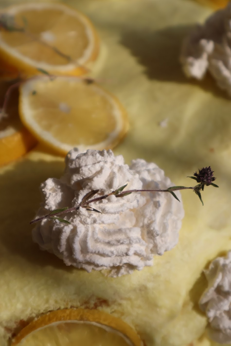 Close-up of a whipped cream rosette and lemon slices on the pale yellow surface of the lemon cake