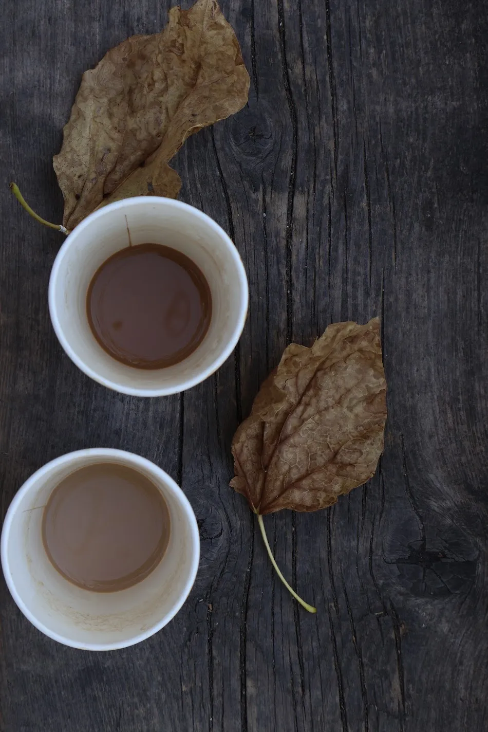 Two takeaway coffees on a dark wooden table with dry autumn leaves, seen from above