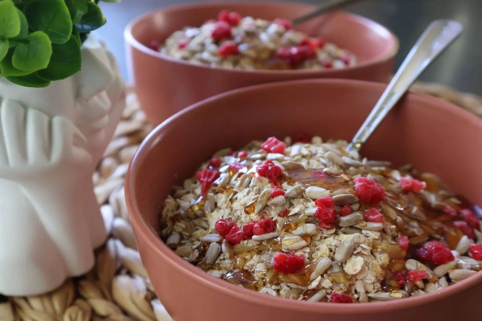 Two terracotta bowls of oats with sunflower seeds, dried berries and honey