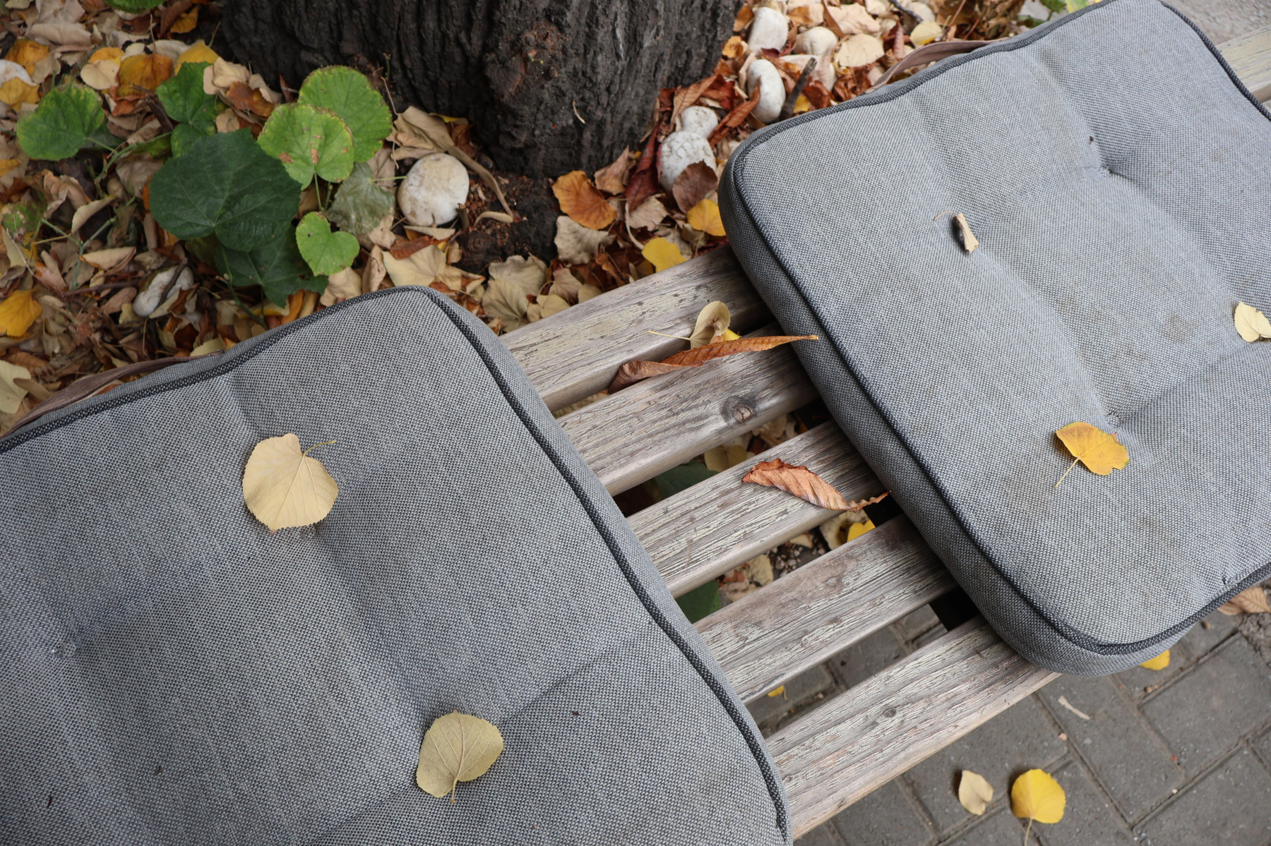 Grey cushions on a wooden bench under a tree, with fallen autumn leaves all around