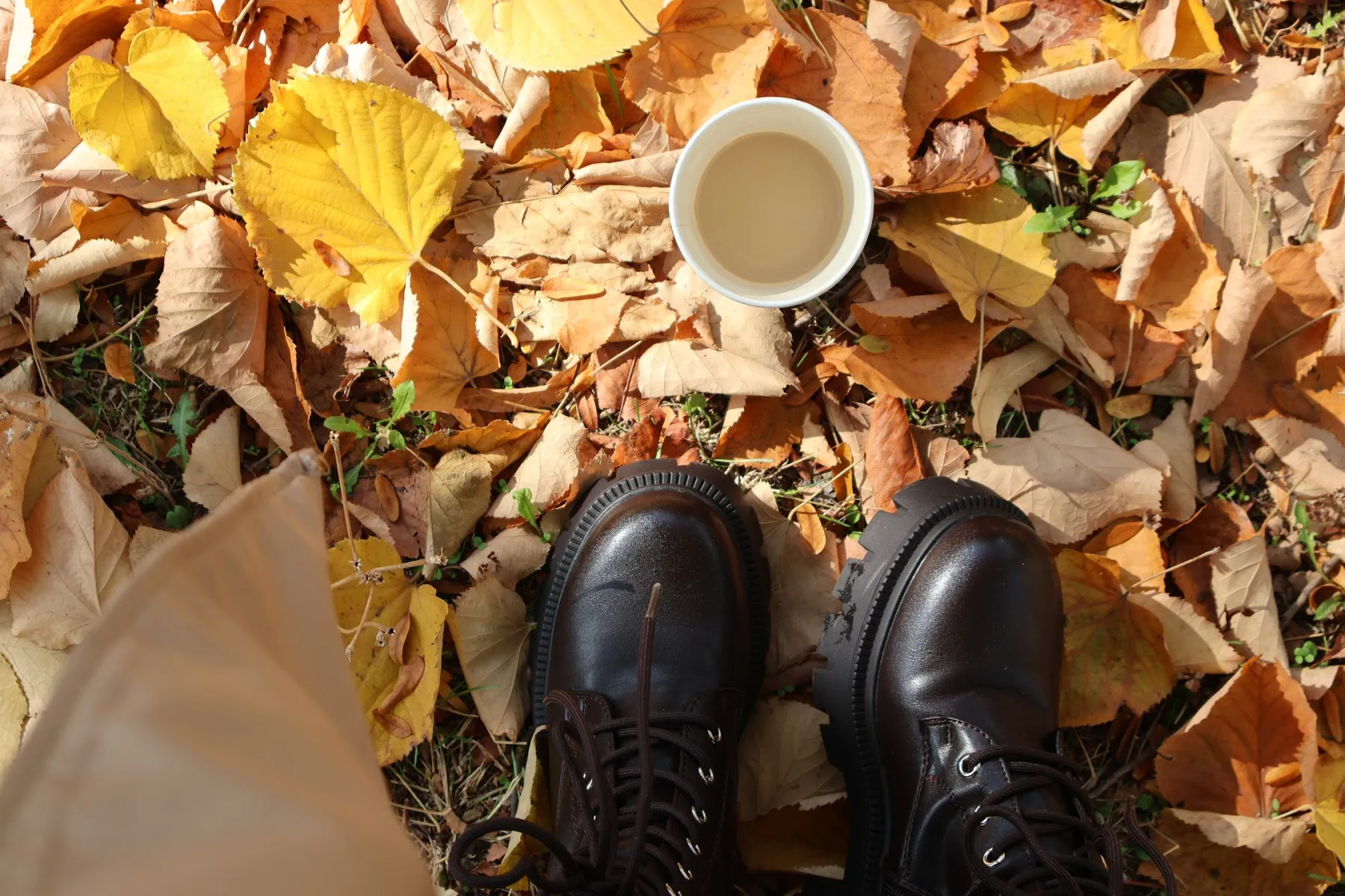 Stivaletti marroni e un bicchiere di caffè di carta su un tappeto di foglie dorate cadute