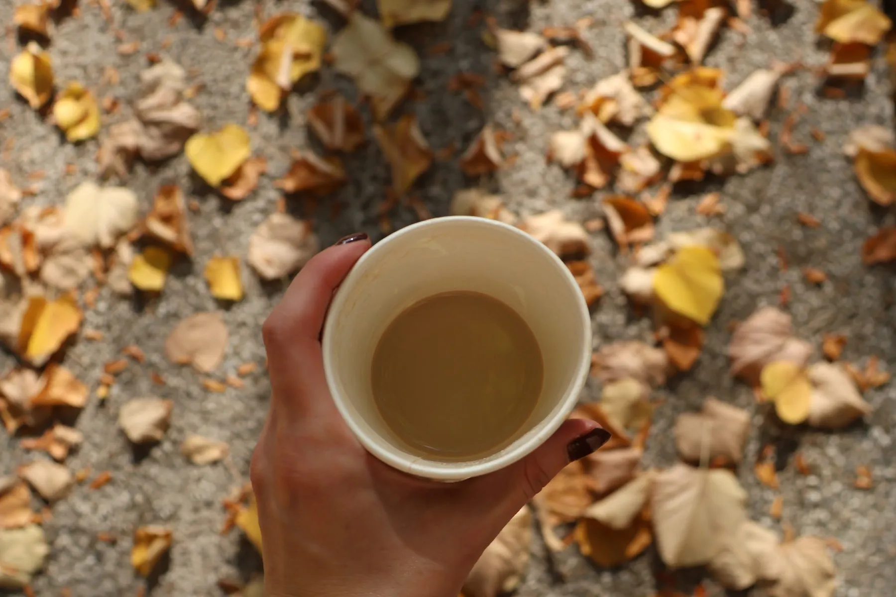 Mano con unghie scure che tiene un bicchiere di caffè sopra un sentiero cosparso di foglie autunnali